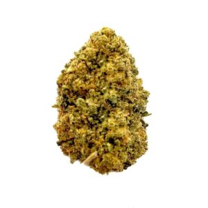 Pack Énergie & Fraîcheur - 3 g de chaque variété