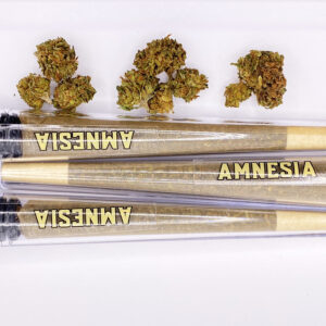 Prés-rolls Amnésia (lot de 3) - 12 % CBD Arome Citron et Pin
