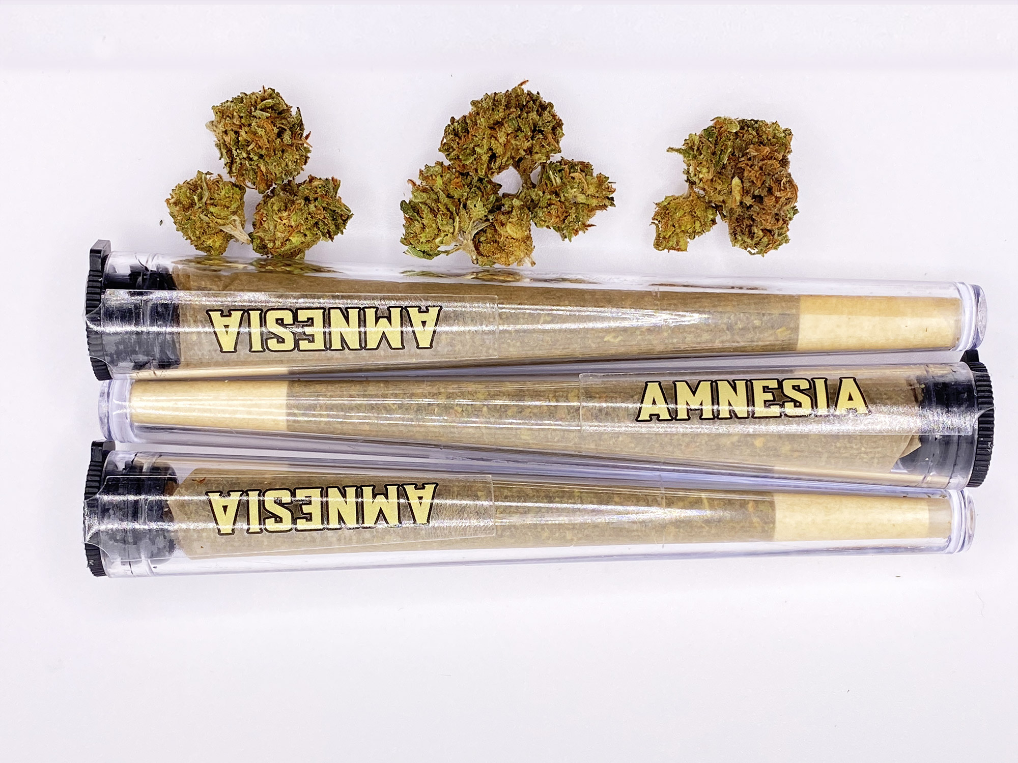Prés-rolls Amnésia (lot de 3) - 12 % CBD Arome Citron et Pin