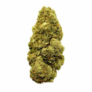 Jack Herer 19% CBD - Énergie Équilibrée et Détente Éclairé