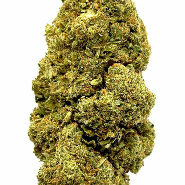 Jack Herer 19% CBD - Énergie Équilibrée et Détente Éclairé – Image 2