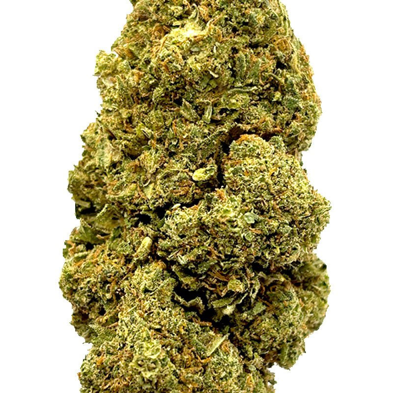 Jack Herer 19% CBD - Énergie Équilibrée et Détente Éclairé – Image 2