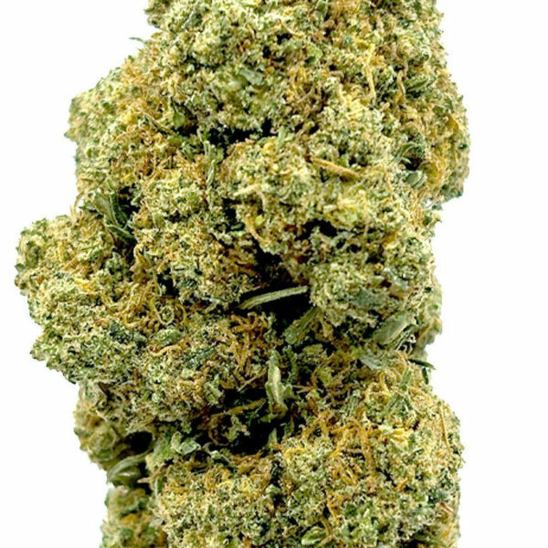 Jamaican Skunk 18% CBD - Relaxation Crémeuse et Exotique – Image 2