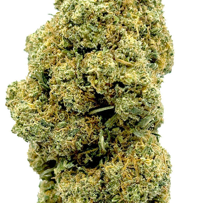 Jamaican Skunk 18% CBD - Relaxation Crémeuse et Exotique – Image 2