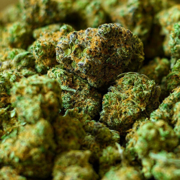 Small Bud Amnésia 19% CBD - Petite mais costaud – Image 2