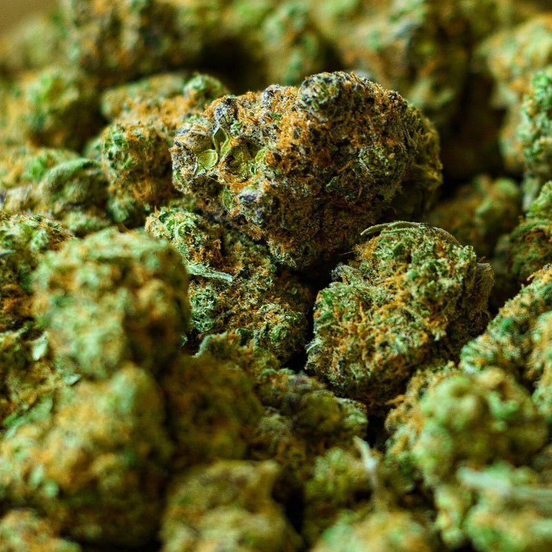 Small Bud Amnésia 19% CBD - Petite mais costaud – Image 2